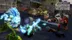 اکانت قانونی Plants vs. Zombies Garden Warfare برای PS5 و PS4